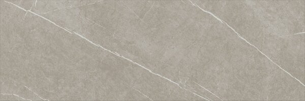 Eternal Taupe Natural 30x90 R