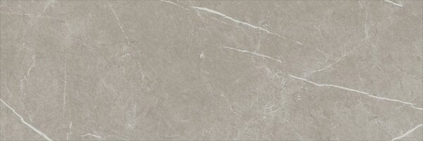 Eternal Taupe Natural 30x90 R