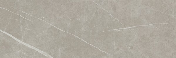 Eternal Taupe Natural 30x90 R