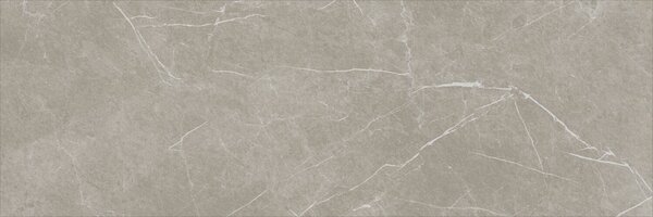 Eternal Taupe Natural 30x90 R