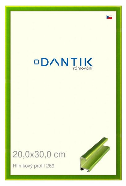 DANTIK rám na obraz 20x30 | ALU Zelená Smaragd broušená (Sklo Čiré)