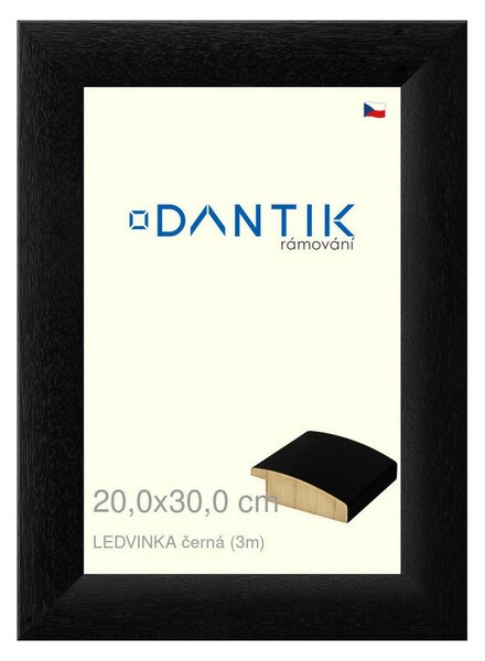 DANTIK rám na obraz 20x30 | LEDVINKA černá (Sklo Čiré)