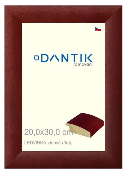 DANTIK rám na obraz 20x30 | LEDVINKA vínová (Sklo Čiré)
