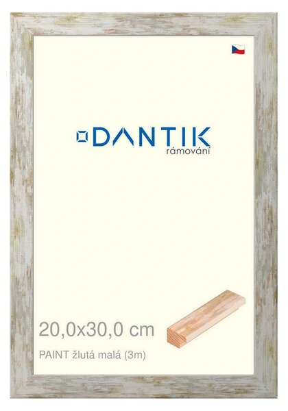 DANTIK rám na obraz 20x30 | PAINT žlutá malá (Sklo Čiré)