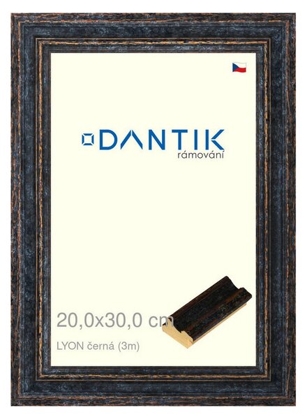 DANTIK rám na obraz 20x30 | LYON černá (Sklo Čiré)