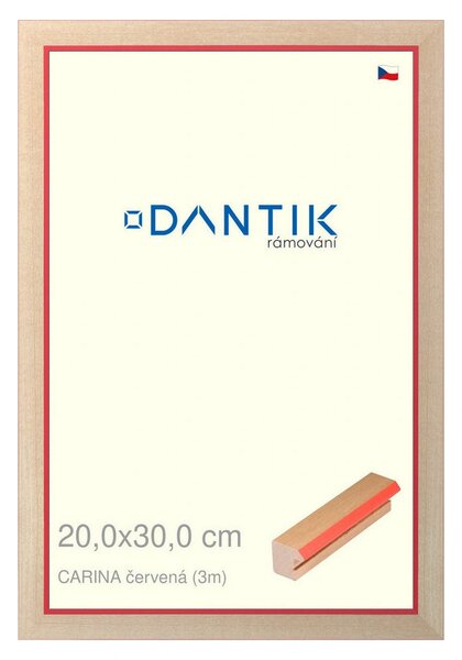 DANTIK rám na obraz 20x30 | CARINA červená (Sklo Čiré)