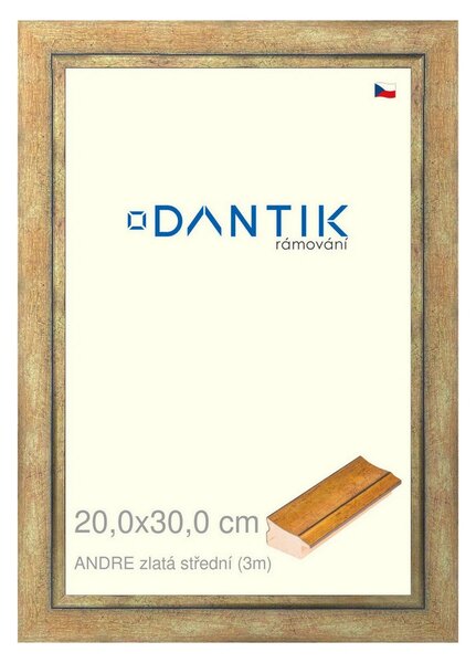 DANTIK rám na obraz 20x30 | ANDRE zlatá střední (Sklo Čiré)