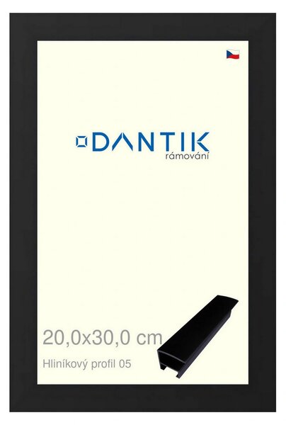 DANTIK rám na obraz 20x30 | ALU Černá matná (Sklo Čiré)