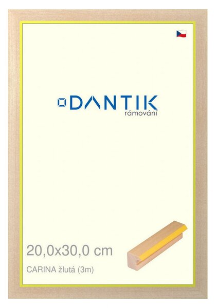 DANTIK rám na obraz 20x30 | CARINA žlutá (Sklo Čiré)
