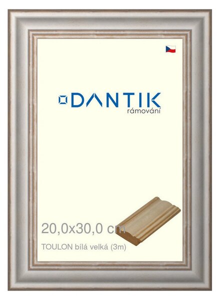 DANTIK rám na obraz 20x30 | TOULON bílá velká (Sklo Čiré)