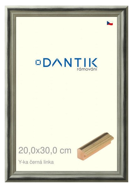 DANTIK rám na obraz 20x30 | Y-ka černá linka (Sklo Čiré)