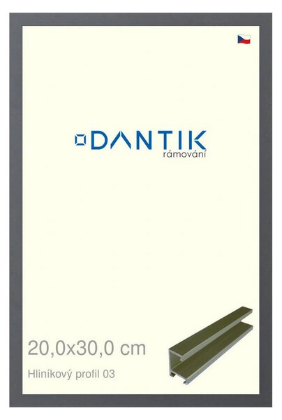 DANTIK rám na obraz 20x30 | ALU Platina matná (Sklo Čiré)