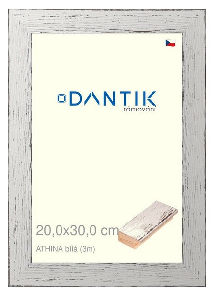 DANTIK rám na obraz 20x30 | ATHINA Bílá (Sklo Čiré)