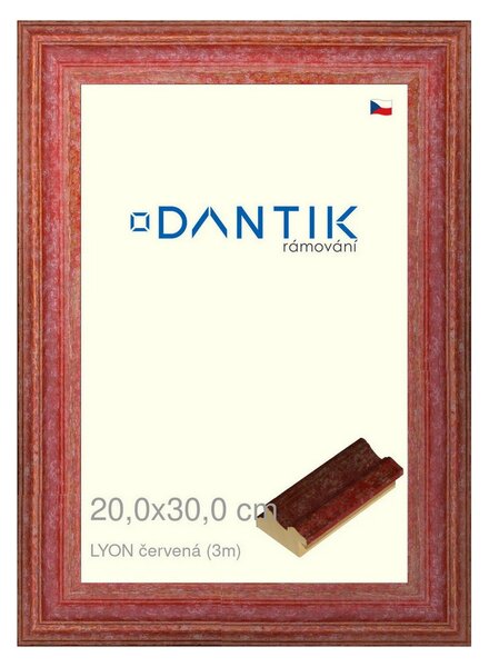 DANTIK rám na obraz 20x30 | LYON červená (Sklo Čiré)