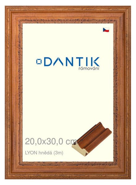 DANTIK rám na obraz 20x30 | LYON hnědá (Sklo Čiré)