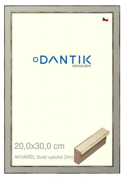 DANTIK rám na obraz 20x30 | AKVAREL žlutá vysoká (Sklo Čiré)