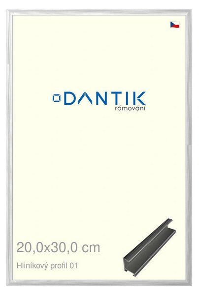 DANTIK rám na obraz 20x30 | ALU Stříbrná lesklá (Sklo Čiré)