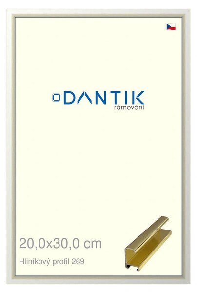 DANTIK rám na obraz 20x30 | ALU Zlatá lesklá (Sklo Čiré)