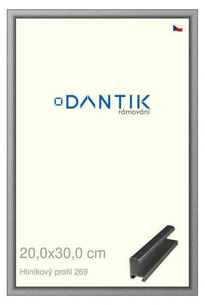 DANTIK rám na obraz 20x30 | ALU Šedá leská (Sklo Čiré)