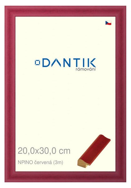 DANTIK rám na obraz 20x30 | NPINO červená (Sklo Čiré)