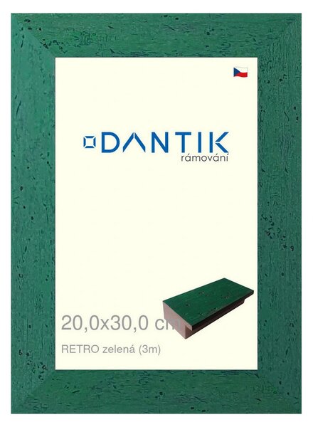 DANTIK rám na obraz 20x30 | RETRO zelená (Sklo Čiré)