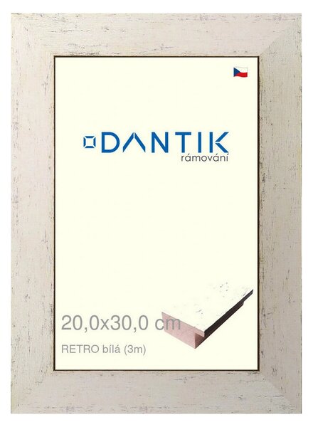 DANTIK rám na obraz 20x30 | RETRO bílá (Sklo Čiré)