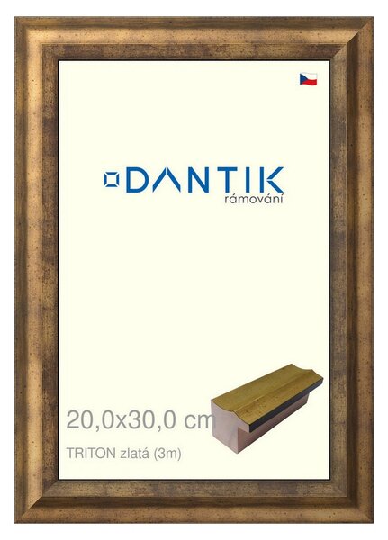 DANTIK rám na obraz 20x30 | TRITON zlatá (Sklo Čiré)