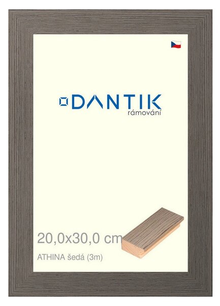 DANTIK rám na obraz 20x30 | ATHINA šedá (Sklo Čiré)
