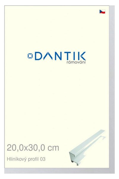 DANTIK rám na obraz 20x30 | ALU Bílá matná (Sklo Čiré)
