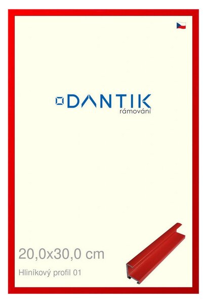 DANTIK rám na obraz 20x30 | ALU Červená Ferrari lesklá (Sklo Čiré)
