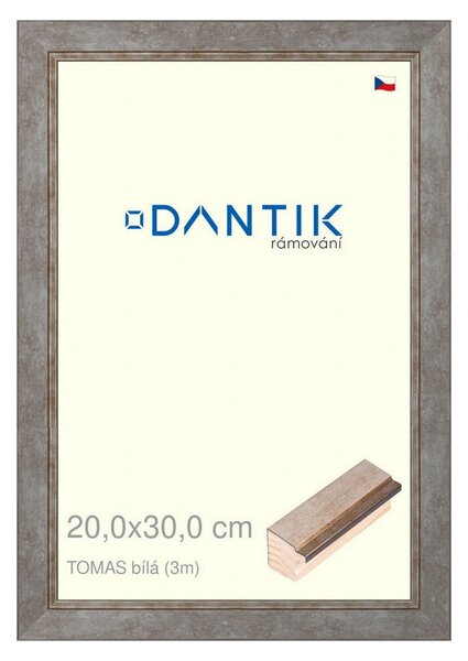 DANTIK rám na obraz 20x30 | TOMAS bílá (Sklo Čiré)