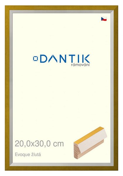 DANTIK rám na obraz 20x30 | EVOQUE žlutá (Sklo Čiré)