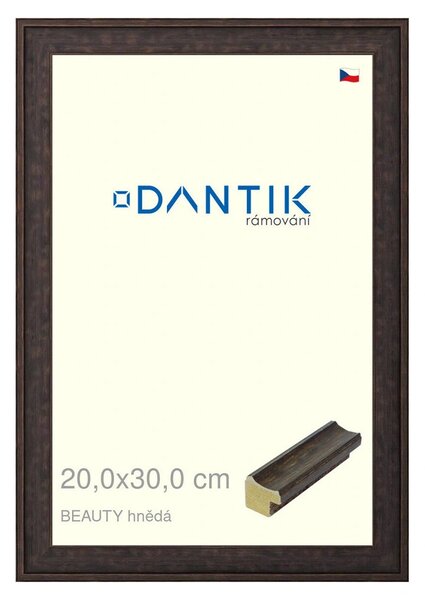 DANTIK rám na obraz 20x30 | BEAUTY hnědá (Sklo Čiré)
