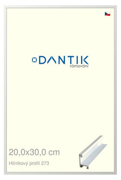 DANTIK rám na obraz 20x30 | ALU Bílá matná (Sklo Čiré)