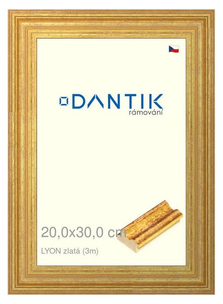 DANTIK rám na obraz 20x30 | LYON zlatá (Sklo Čiré)