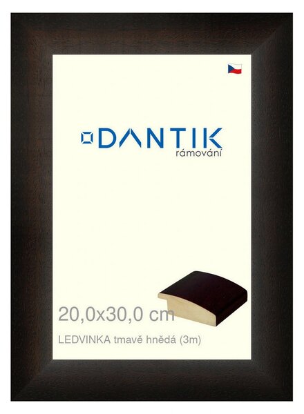 DANTIK rám na obraz 20x30 | LEDVINKA tmavě hnědá (Sklo Čiré)