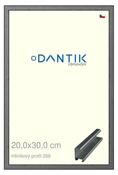 DANTIK rám na obraz 20x30 | ALU Ššedá broušená (Sklo Čiré)