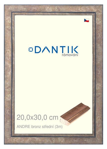 DANTIK rám na obraz 20x30 | ANDRE bronz střední (Sklo Čiré)