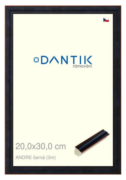 DANTIK rám na obraz 20x30 | ANDRE černá (Sklo Čiré)