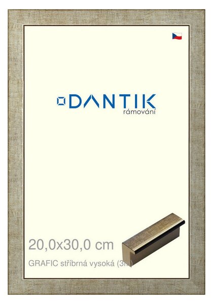 DANTIK rám na obraz 20x30 | GRAFIC stříbrná vysoká (Sklo Čiré)