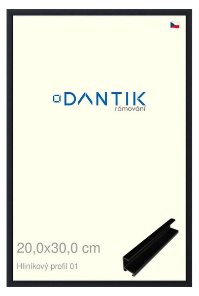 DANTIK rám na obraz 20x30 | ALU Černá matná (Sklo Čiré)