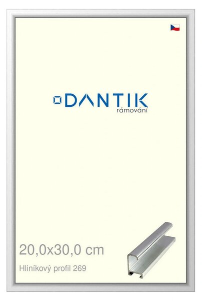 DANTIK rám na obraz 20x30 | ALU Stříbrná lesklá (Sklo Čiré)