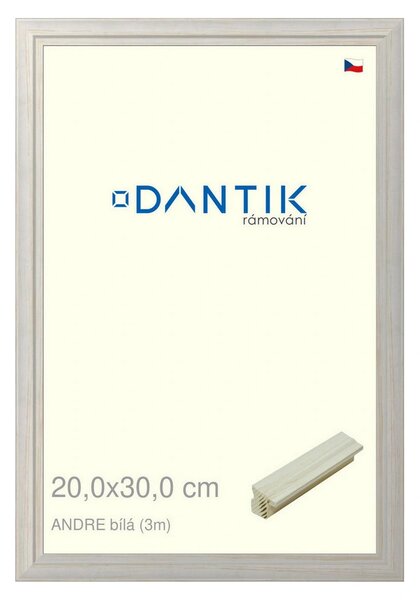 DANTIK rám na obraz 20x30 | ANDRE Bílá (Sklo Čiré)