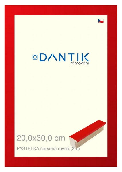 DANTIK rám na obraz 20x30 | PASTELKA červená rovná (Sklo Čiré)