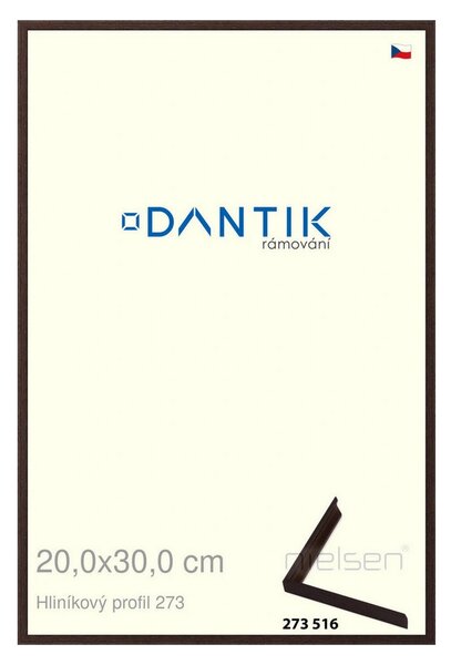 DANTIK rám na obraz 20x30 | ALU Dýha wenge tmavá (Sklo Čiré)
