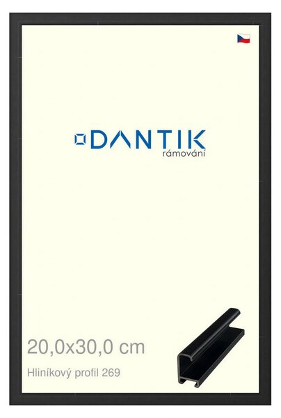 DANTIK rám na obraz 20x30 | ALU Černá matná (Sklo Čiré)