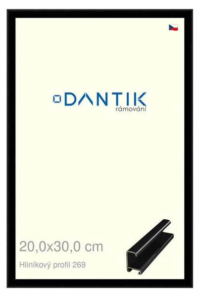 DANTIK rám na obraz 20x30 | ALU Černá lesklá (Sklo Čiré)