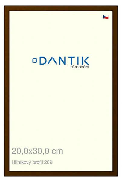 DANTIK rám na obraz 20x30 | ALU Hnědá umbra broušená (Sklo Čiré)