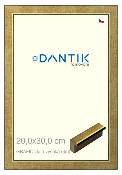 DANTIK rám na obraz 20x30 | GRAFIC zlatá vysoká (Sklo Čiré)