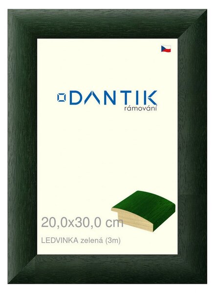 DANTIK rám na obraz 20x30 | LEDVINKA zelená (Sklo Čiré)